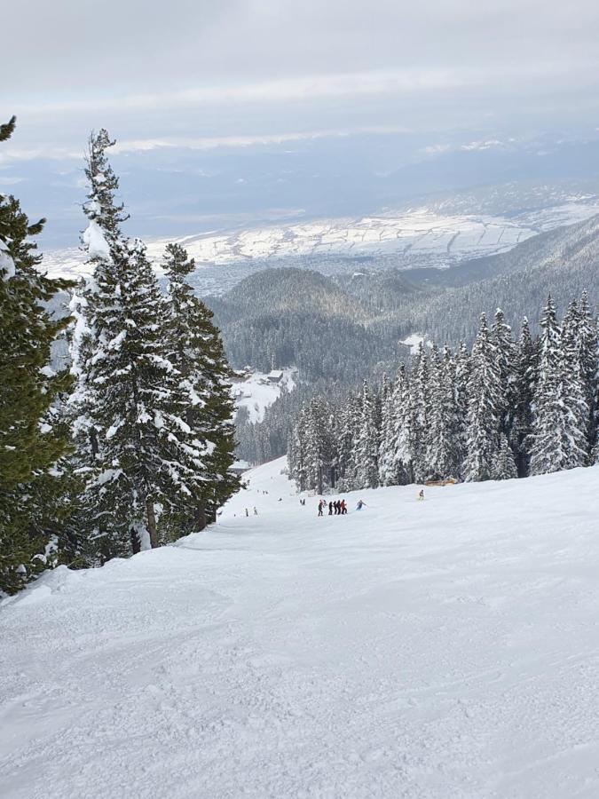 Spacious And Cosy Apartment In Bansko Royal Towers Complex Kültér fotó